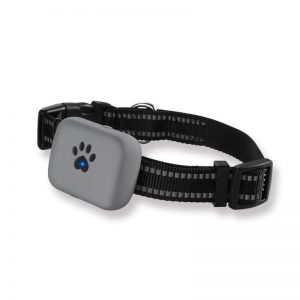 mini gps tracking device