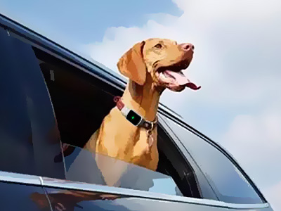 Use Pet GPS Tracker To Keep Your Pet Safe