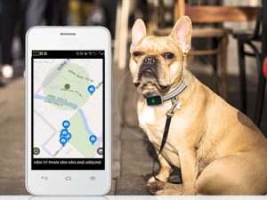 best tracking device