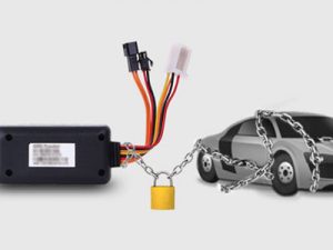 magnetic locator