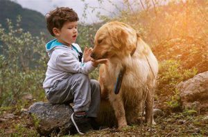 child gps tracker no monthly fee