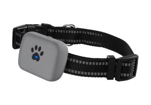 pet gps tracker no monthly fee