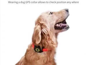 animal gps tracker