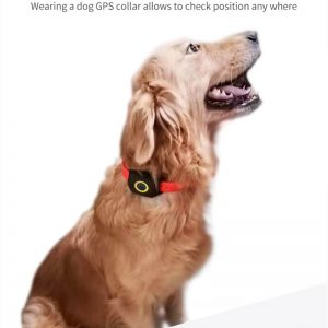 4g pet tracker