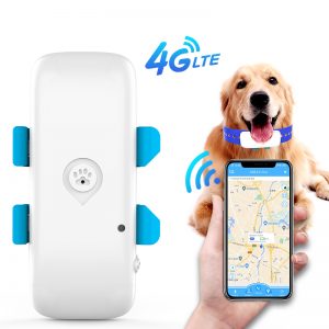 pet tracker