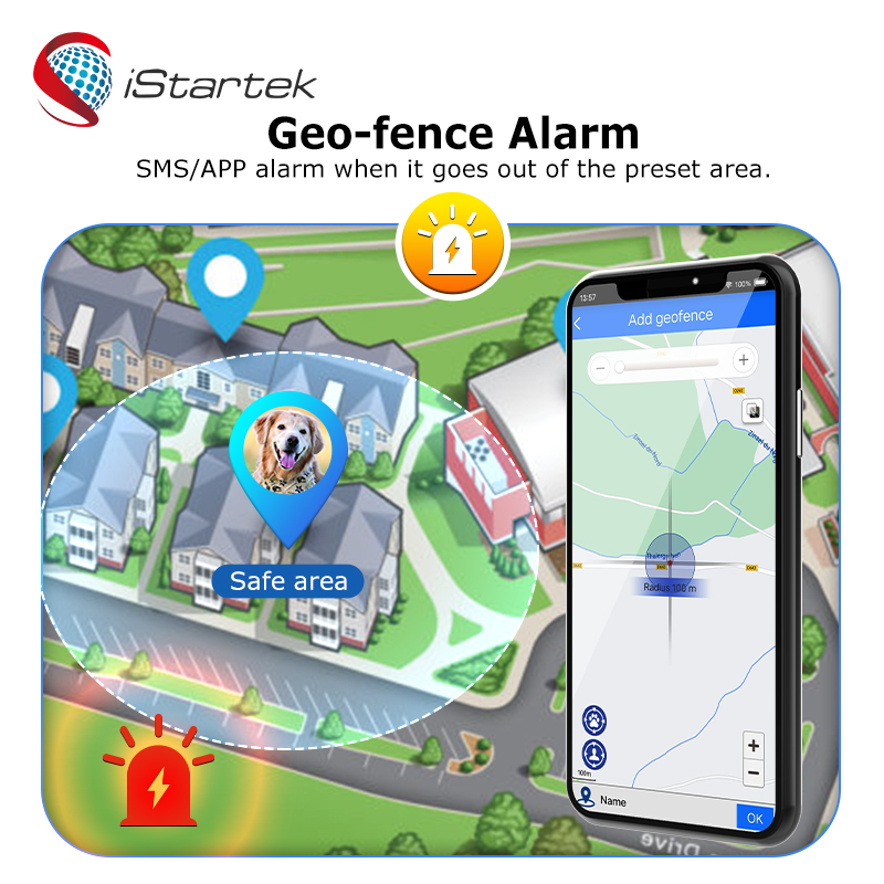 geo fence alarm