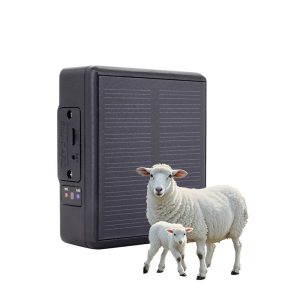 solar powered gps tracker