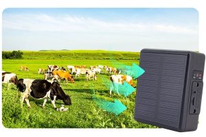 solar pet tracker