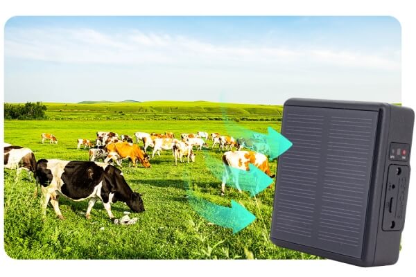 Why Choose iStartek Solar Pet Tracker PT24?