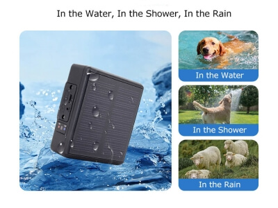 iStartek PT24 Solar Powered GPS Tracker: The Ultimate Solution for Livestock Asset Management