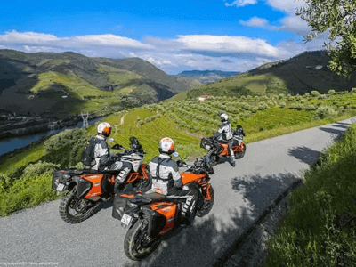 Fleet Management and Protection- The Essential Role of GPS Localizador