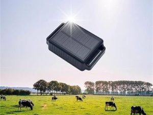 cattle gps tracker