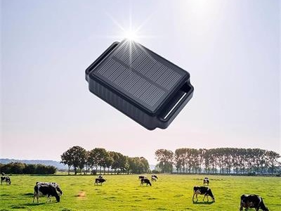 Cattle GPS Tracker PT24: Solar-Powered Precision for Modern Ranching