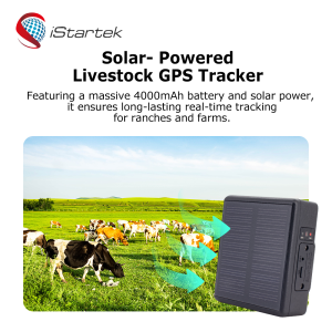 cow gps tracker