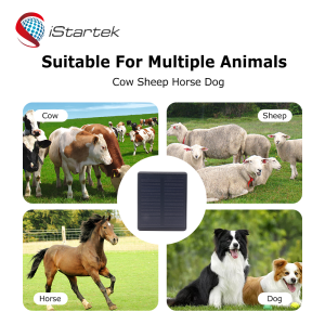 gps tracker for animals